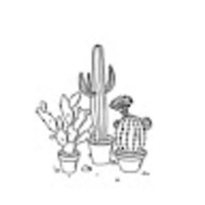 Meet your Posher, Anushree